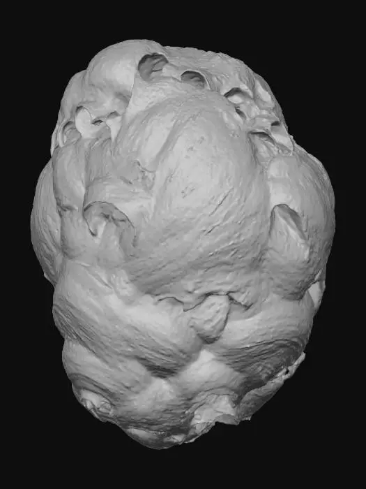 3D model for Wasp Fortress