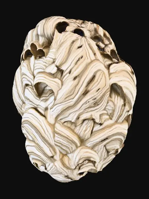 3D model for Wasp Fortress