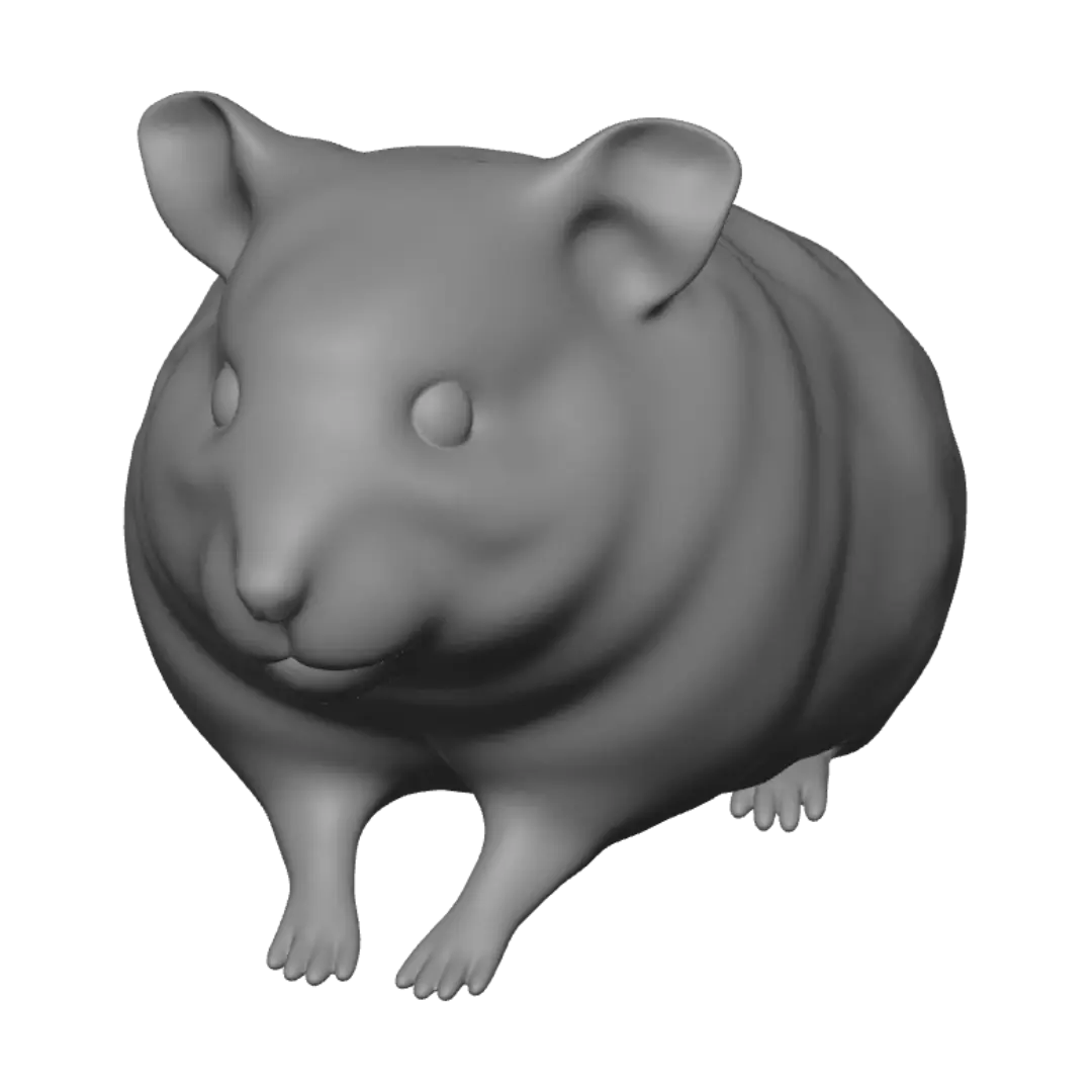 hamster