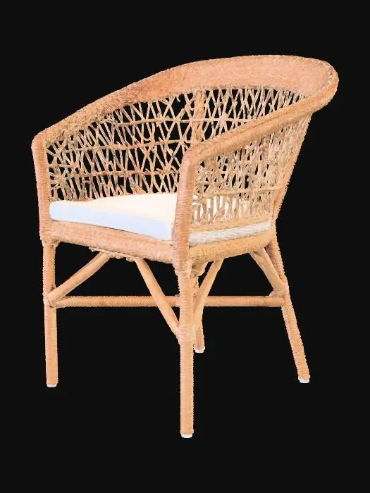 3D model for Woven Elegance Chair