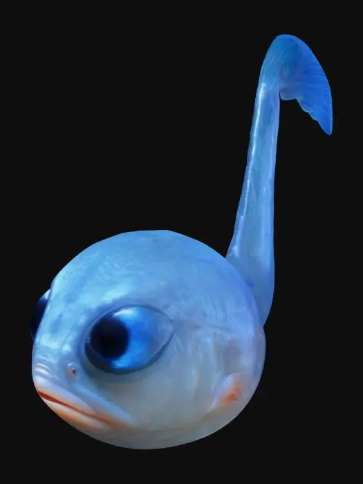 3D model for baby_Fish_zora
