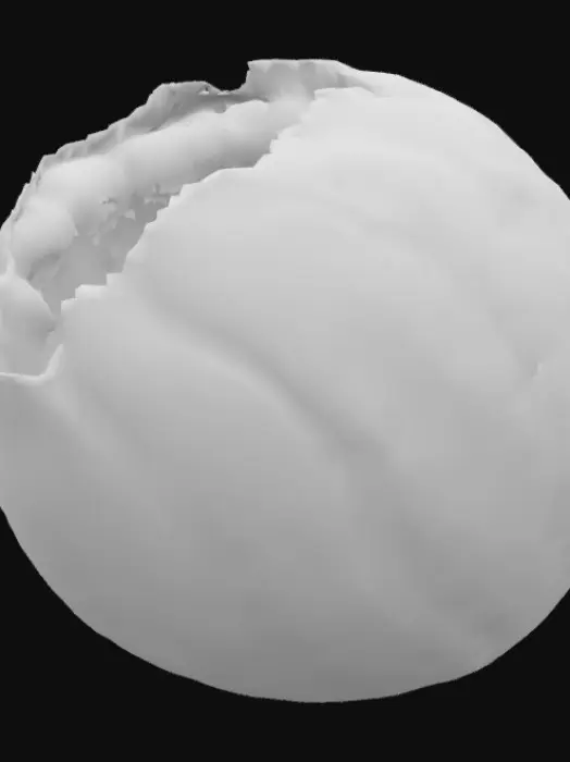 3D model for Deku Nut 4k HD brown shell with orange inside 