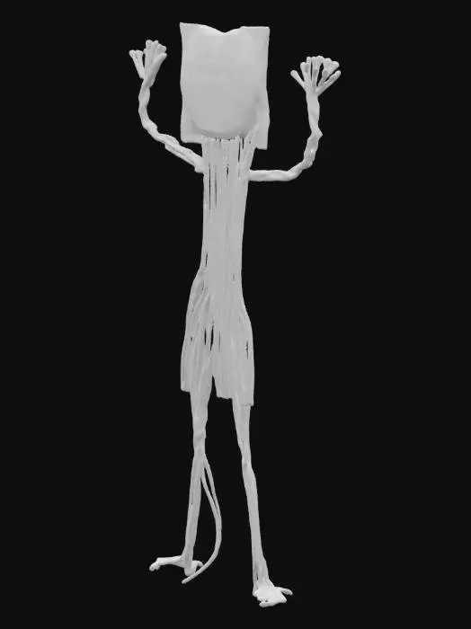 3D model for A man that consists of ramen noodles, all his limbs are noodles, his face is a ramen noodle packet with a cartoon face on the packaging. His arms are made of ramen noodles.