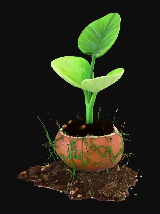 3D model for sprouted coconut seedling