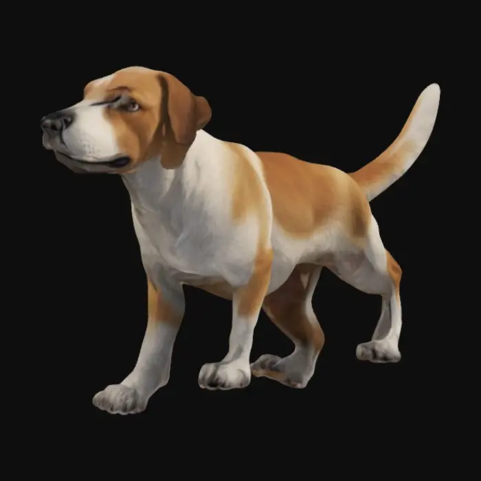 3D model for Realistic dog standing up