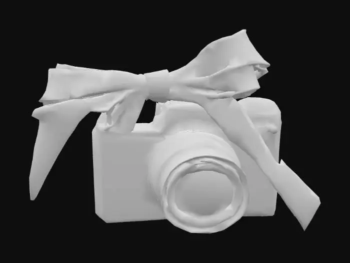 3D model for bokophotography logo