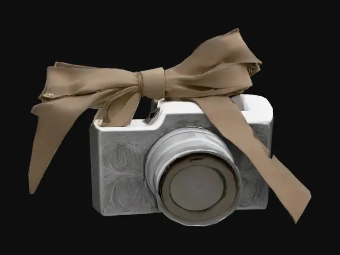 3D model for bokophotography logo