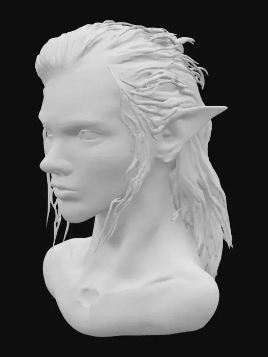 3D model for dark eldar female face, warhamer 40k, bust, Drukhari, dark elf, battle armor, no armor, only skin
