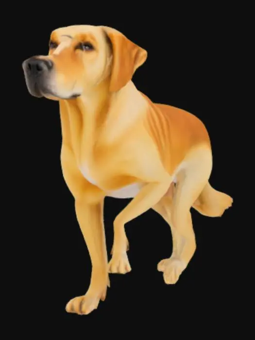 3D model for un chien debout  