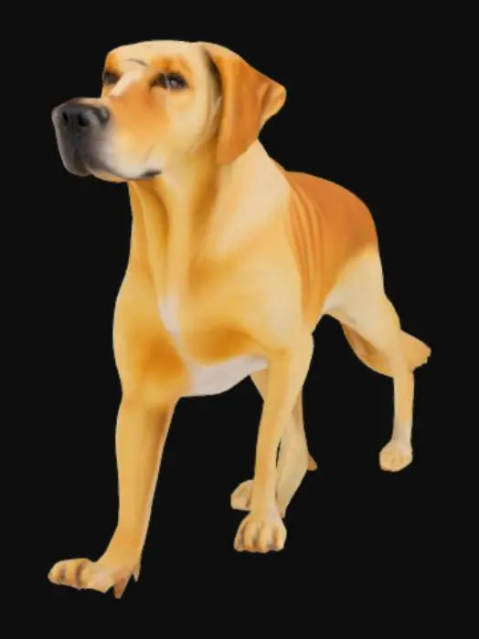 3D model for un chien debout  