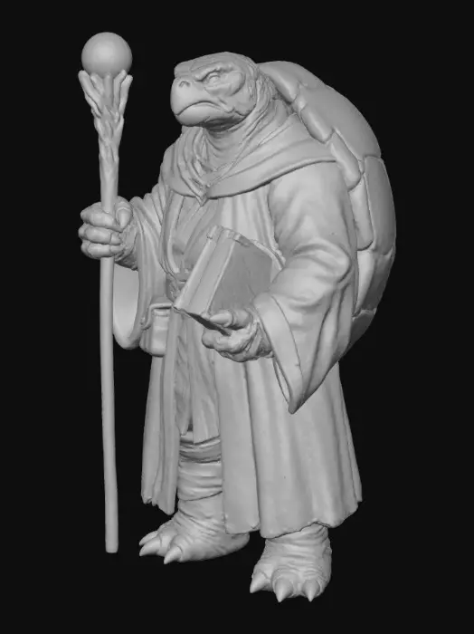 3D model for Turtle Mage in Robes