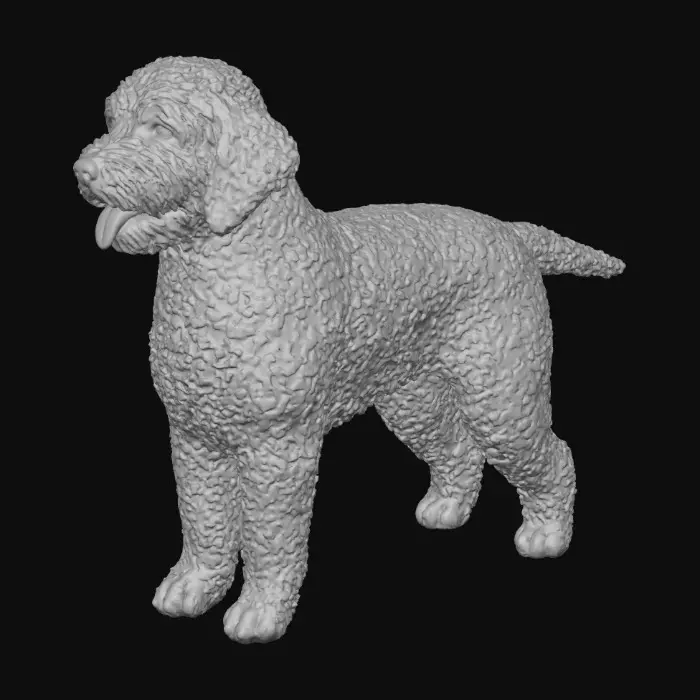 3D model for Curly Canine Portrait