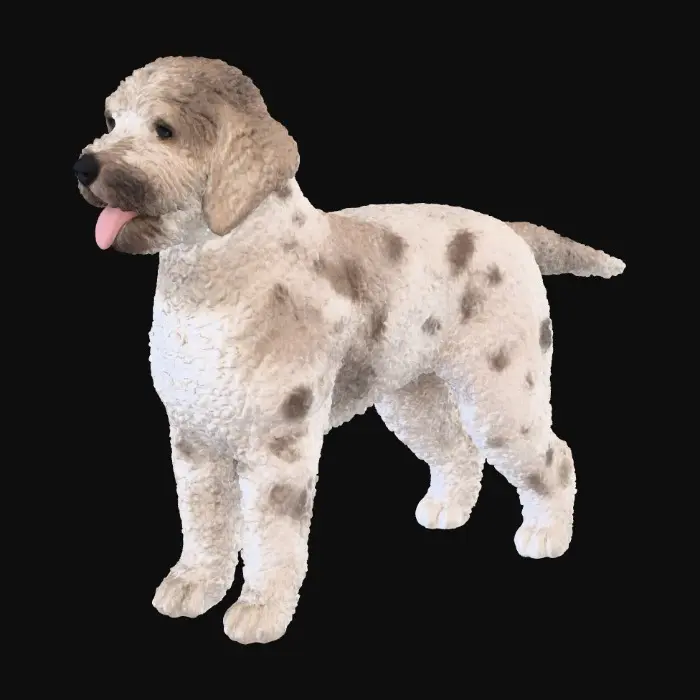 3D model for Curly Canine Portrait