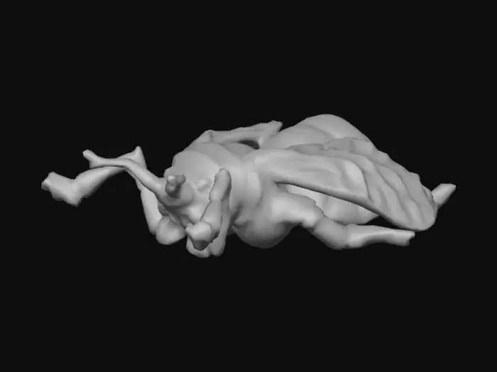 3D model for Golden Bee Brooch