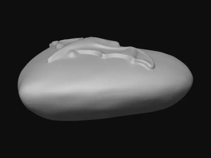 3D model for Heart of the Nightwing