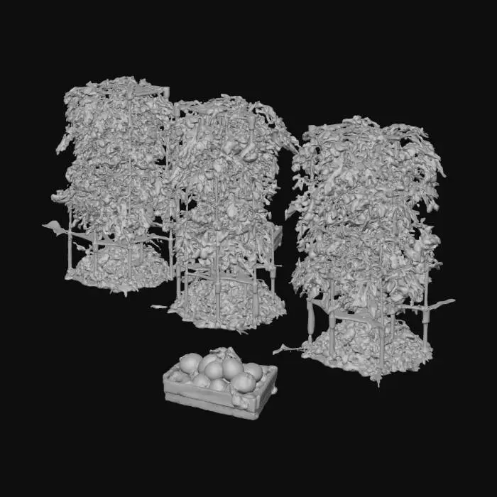 3D model for Tomato Harvest Display