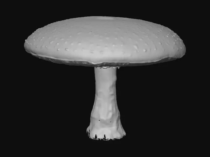 3D model for Forest Giant