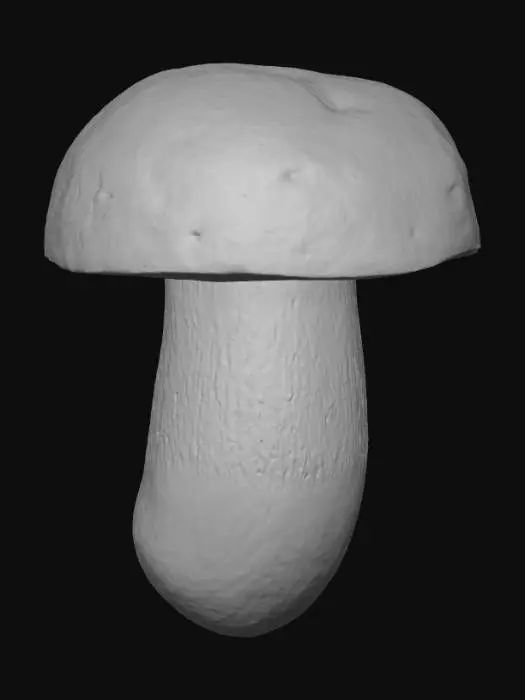 3D model for Mushroom weit