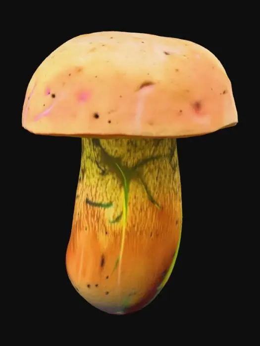 3D model for Mushroom weit