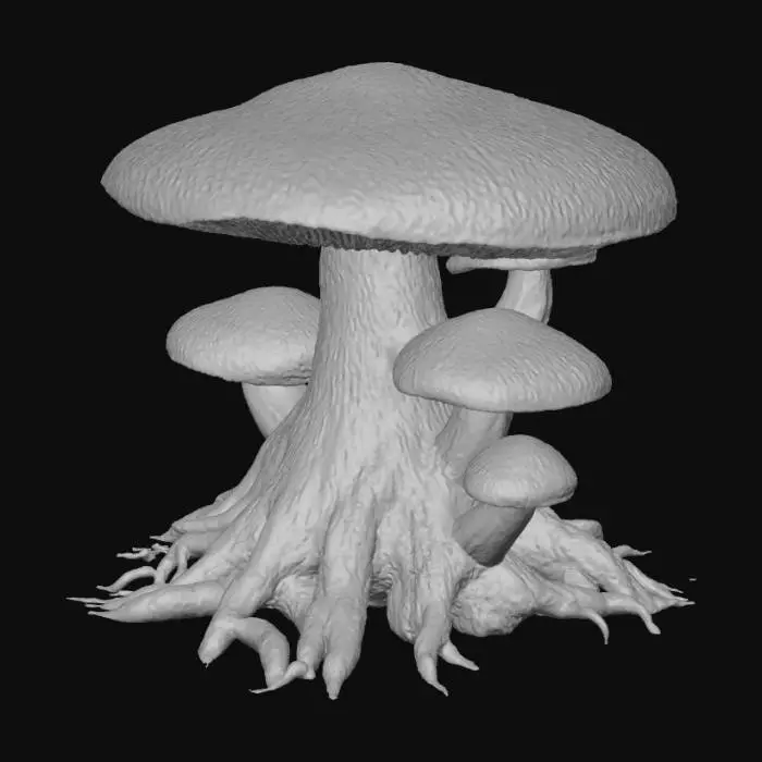 3D model for Giant Forest Mushrooms