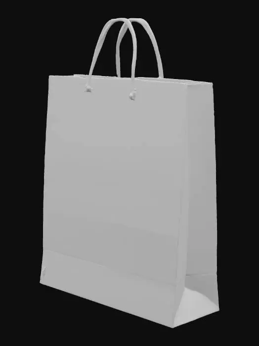 3D model for High-resolution 3D model of a clean, blank paper shopping bag with handles, standing upright on a neutral studio background. The bag should have a smooth matte paper texture in natural kraft brown or plain white, with realistic lighting and subtle shadows. No logos or designs—completely empty surface—so it can be used for custom branding or advertisement placement. Provide the model with PBR textures and exportable in formats like OBJ, FBX, or GLTF