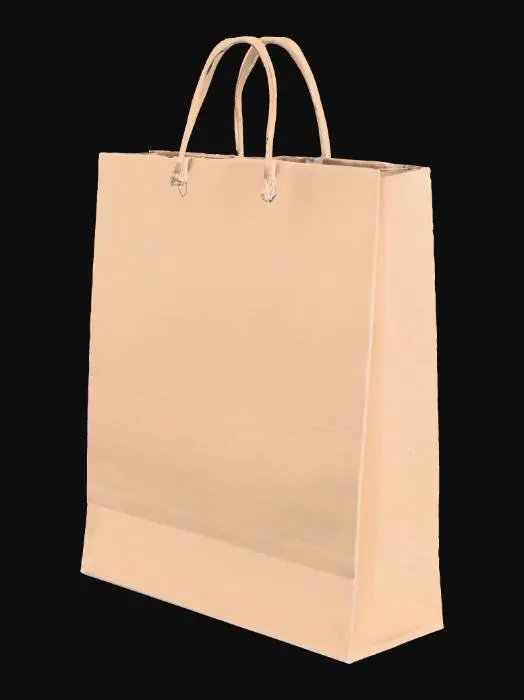 3D model for High-resolution 3D model of a clean, blank paper shopping bag with handles, standing upright on a neutral studio background. The bag should have a smooth matte paper texture in natural kraft brown or plain white, with realistic lighting and subtle shadows. No logos or designs—completely empty surface—so it can be used for custom branding or advertisement placement. Provide the model with PBR textures and exportable in formats like OBJ, FBX, or GLTF