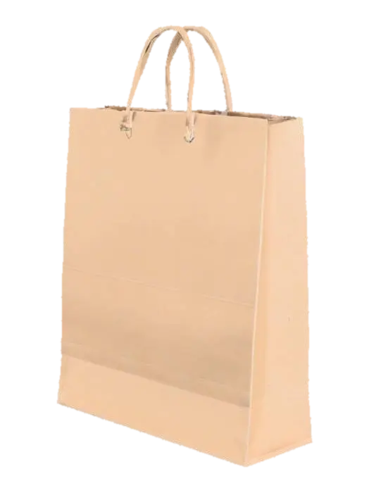 High-resolution 3D model of a clean, blank paper shopping bag with handles, standing… 3D model, vytvořený pomocí AI