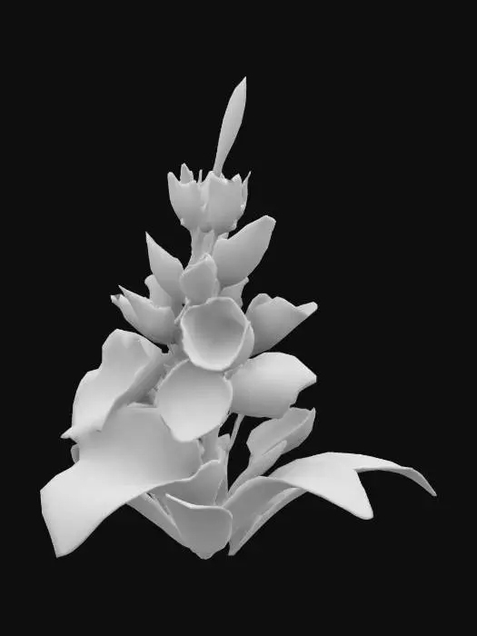 3D model for lobelia flower