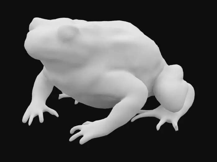 3D model for Toad