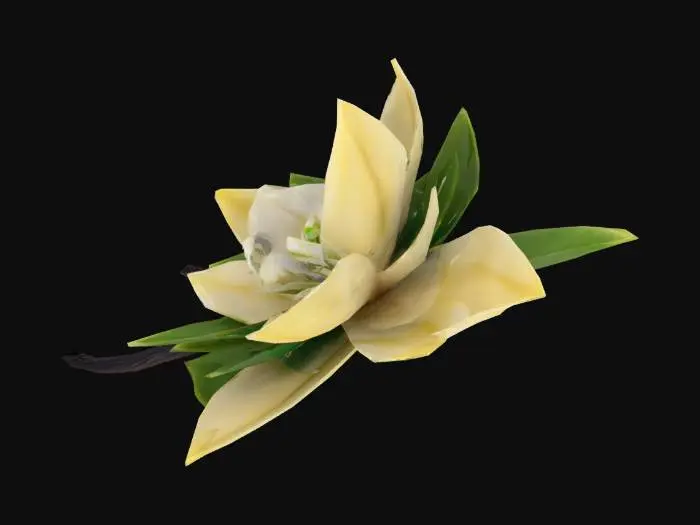 3D model for vanilla beans and flower