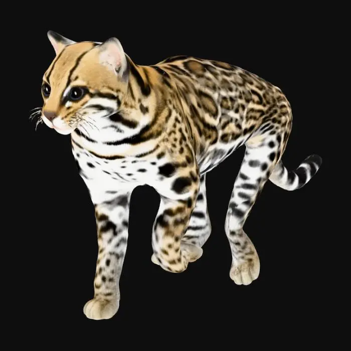 3D model for Jaguatirica