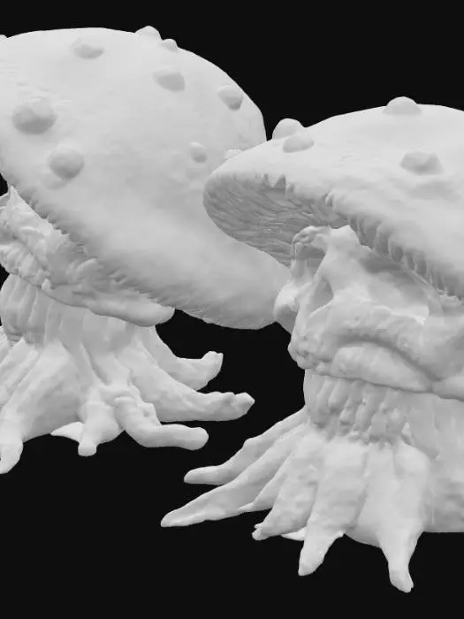 3D model for Mushroom Phantoms