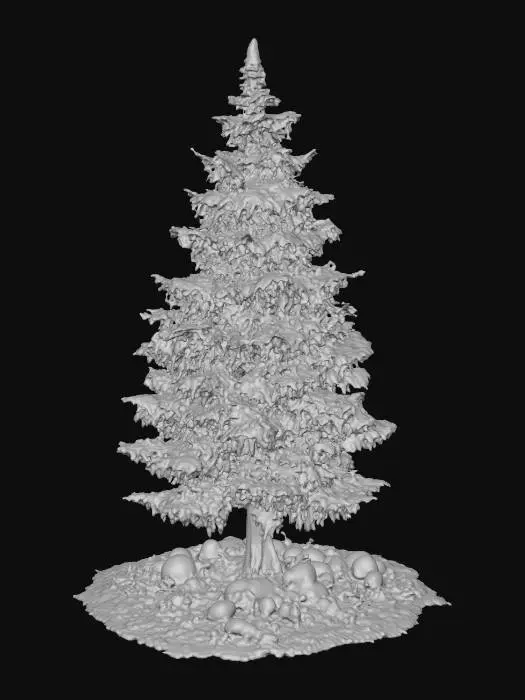 3D model for Snow-Crowned Pine