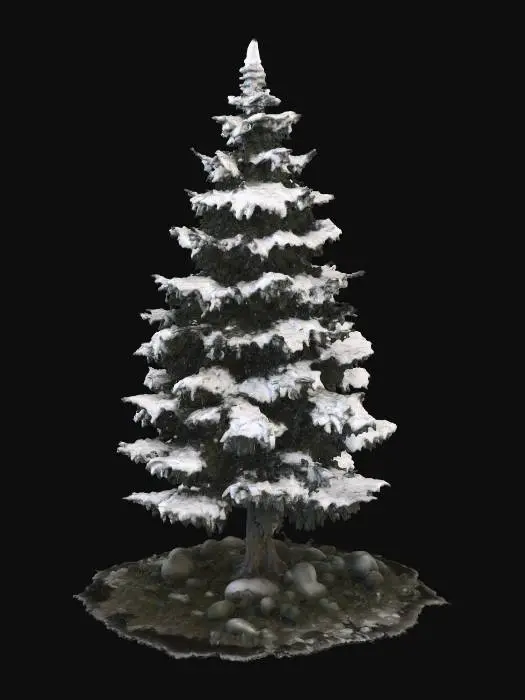 3D model for Snow-Crowned Pine