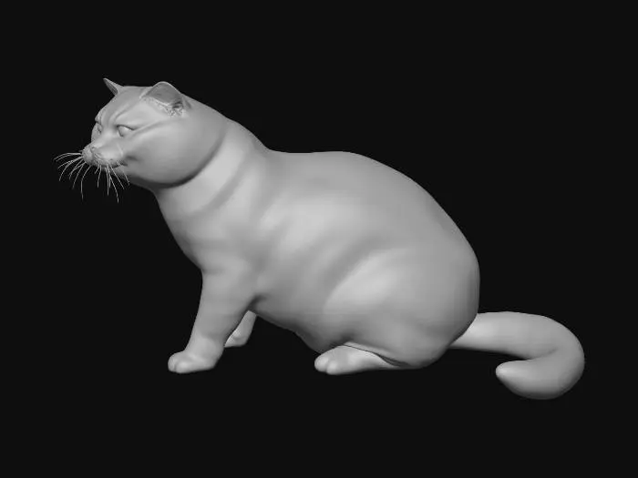 3D model for Gray Majesty