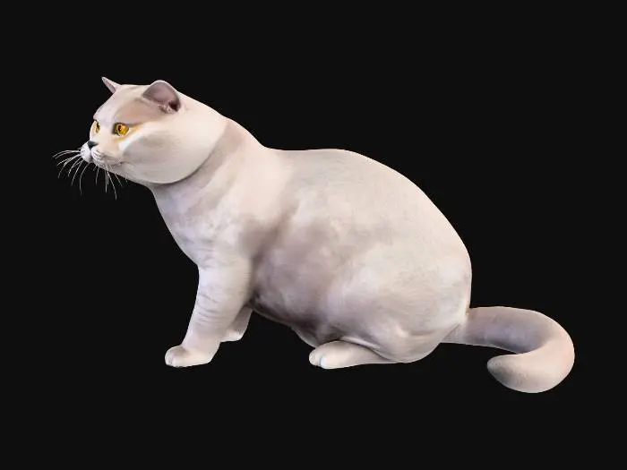 3D model for Gray Majesty