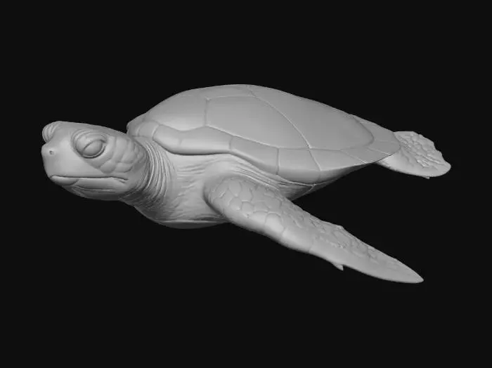 3D model for Ocean Glide