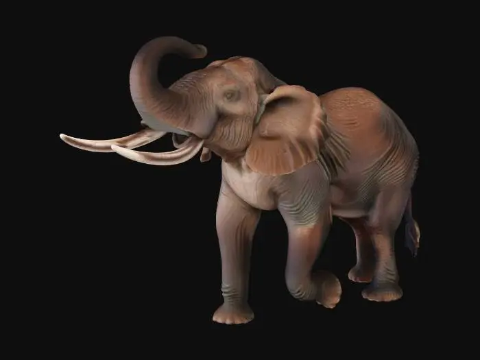 3D model for Majestic Elephant Exhibit