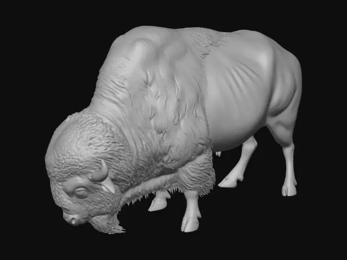 3D model for Bison Stance