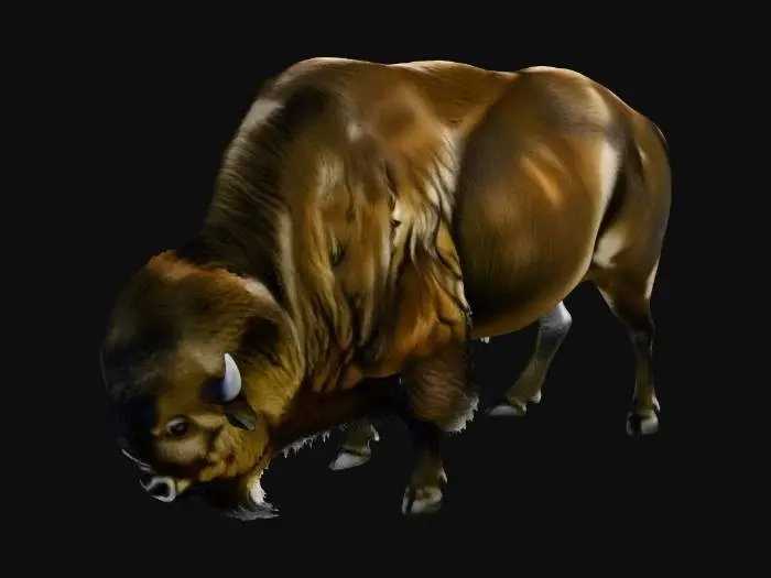 3D model for Bison Stance