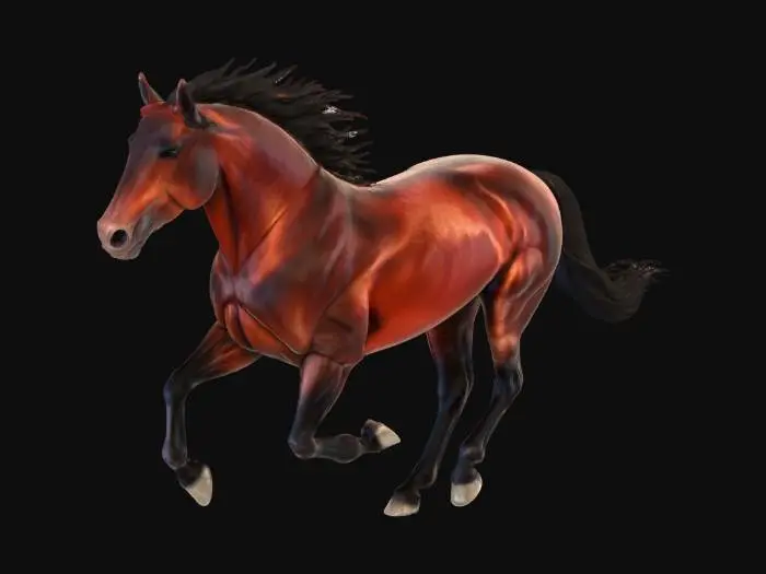 3D model for Majestic Gallop