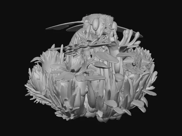 3D model for Bee on Bloom