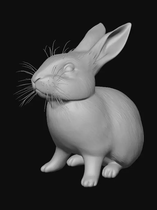 3D model for Bunny in the Wild