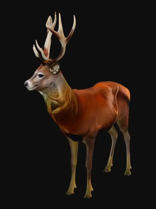 3D model for Regal Stag in the Meadow