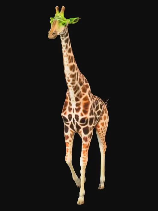 3D model for Giraffe Stroll