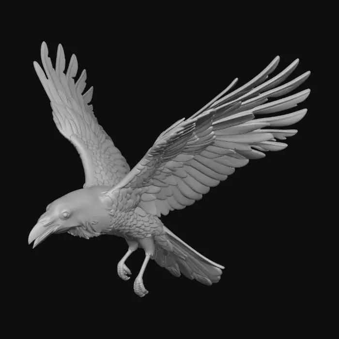 3D model for Majestic Raven