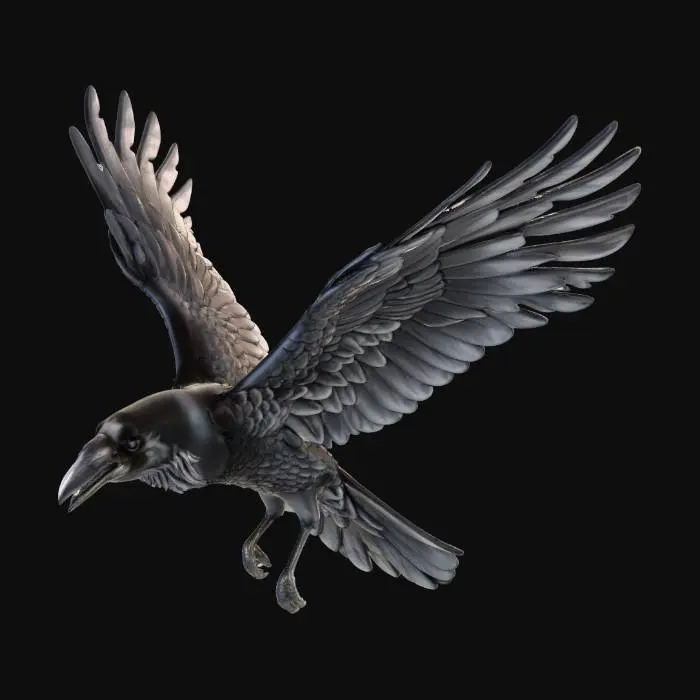 3D model for Majestic Raven