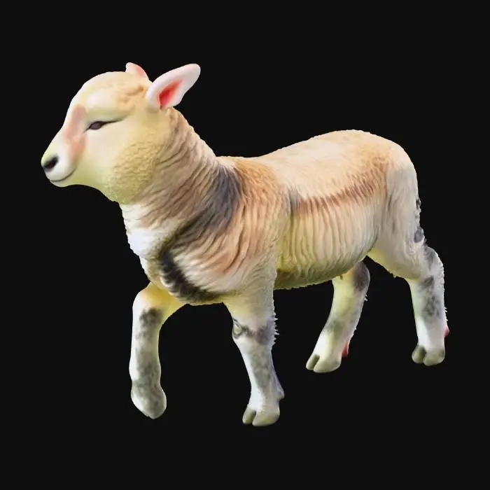 3D model for Lamb in the Meadow