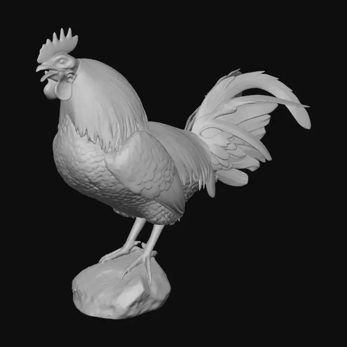 3D model for Majestic Rooster.