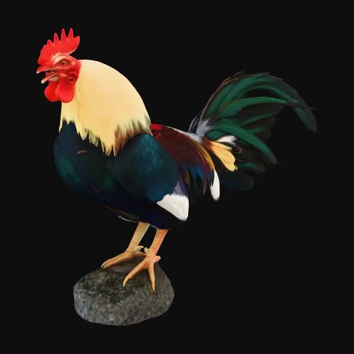 3D model for Majestic Rooster.